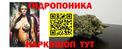 молекула духа Нальчик