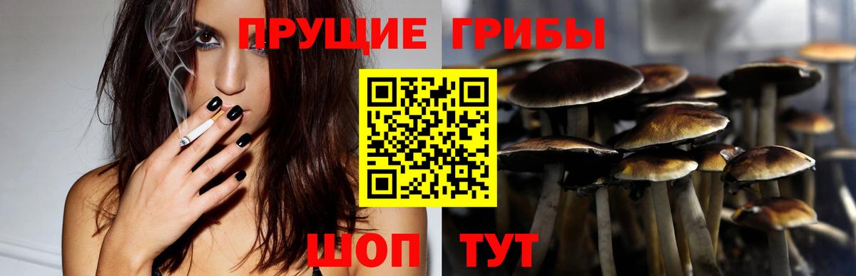 Галлюциногенные грибы MAGIC MUSHROOMS Протвино